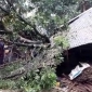বাংলাদেশে বৈশাখের ঝড়-বজ্রপাতে ৮ জনের মৃত্যু