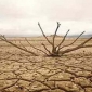 আগামীতে সব রেকর্ড ভাঙবে বৈশ্বিক তাপমাত্রা