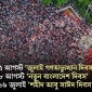 ৮ আগস্ট ‘নতুন বাংলাদেশ, ১৬ জুলাই শহীদ আবু সাঈদ দিবস