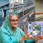 শেখ হাসিনা অপরাধ করেননি, উন্নয়ন নিয়ে ব্যস্ত ছিলেন: আইনজীবী আমির হোসেন
